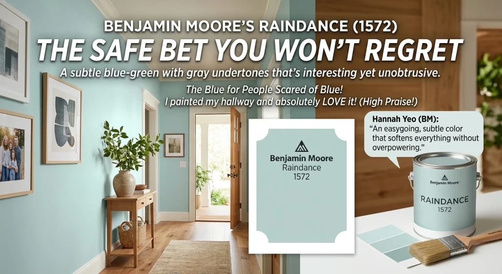 Benjamin Moores Raindance Is the Safe Bet You Wont Regret